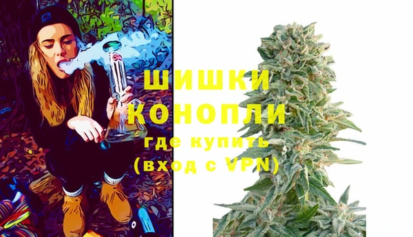 таблы Белокуриха